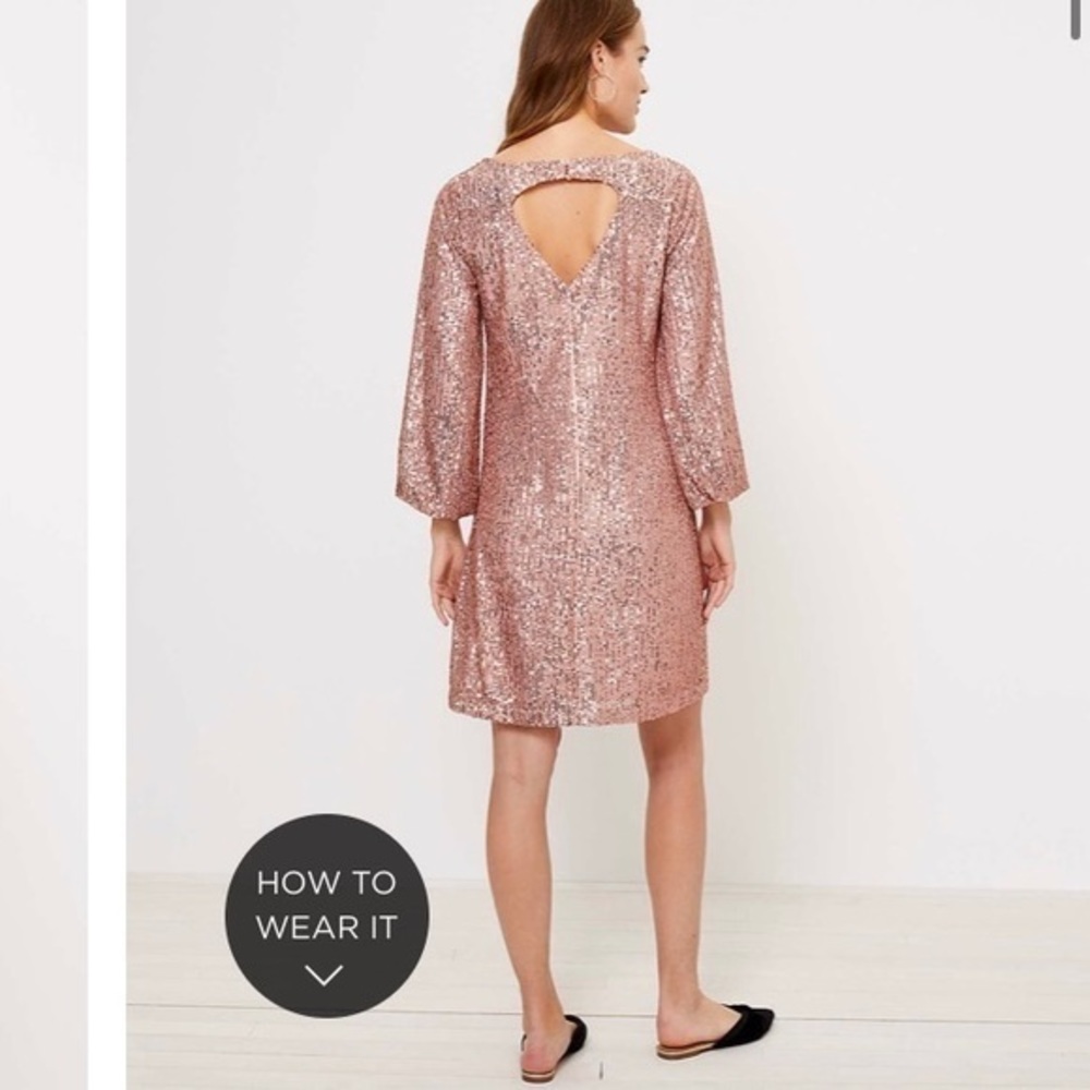 Loft sequin balloon sleeve dress